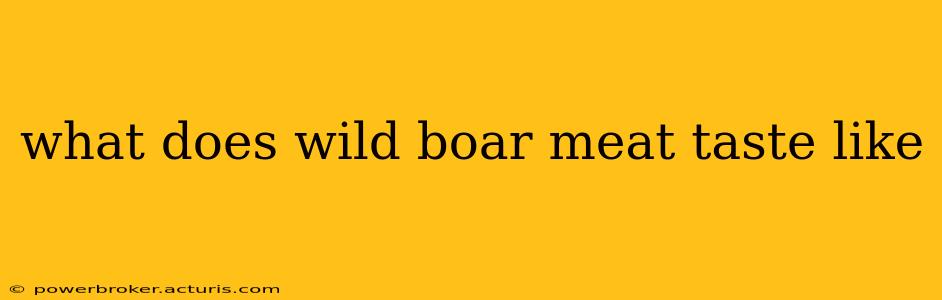 what does wild boar meat taste like