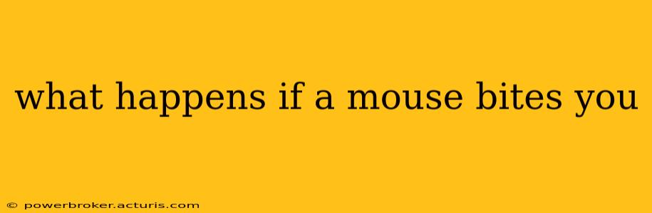 what happens if a mouse bites you