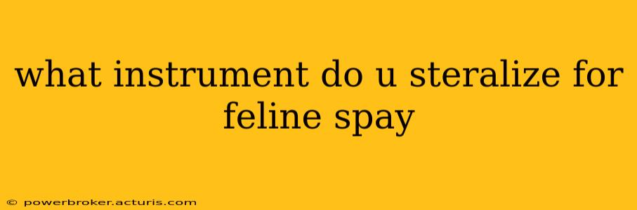 what instrument do u steralize for feline spay