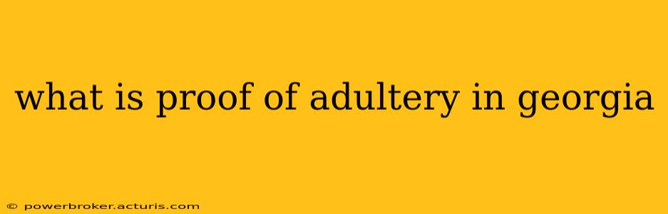 what is proof of adultery in georgia