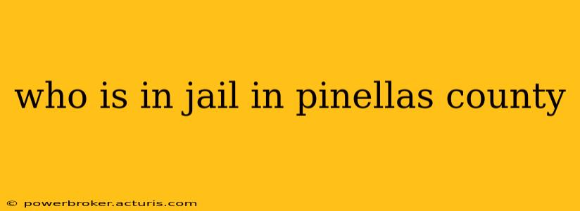 who is in jail in pinellas county