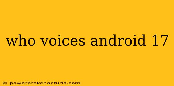 who voices android 17