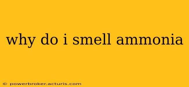 why do i smell ammonia
