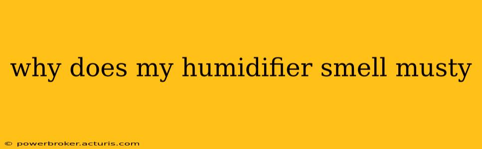 why does my humidifier smell musty