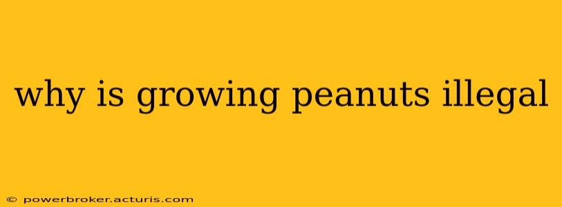 why is growing peanuts illegal