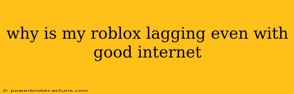 why is my roblox lagging even with good internet