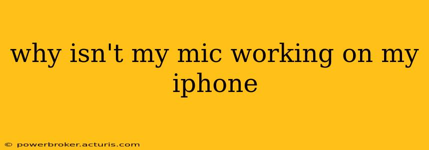 why isn't my mic working on my iphone