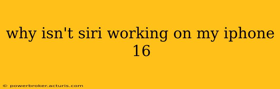 why isn't siri working on my iphone 16