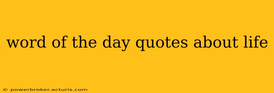 word of the day quotes about life