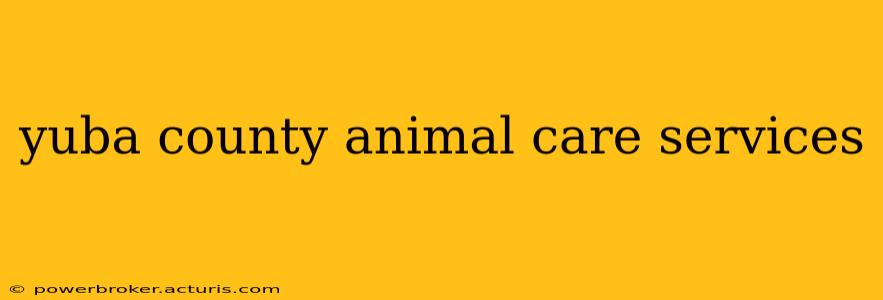yuba county animal care services